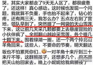 雪莲网友爆料视频,揭秘惊人内幕 第1张 雪莲网友爆料视频,揭秘惊人内幕 第1张